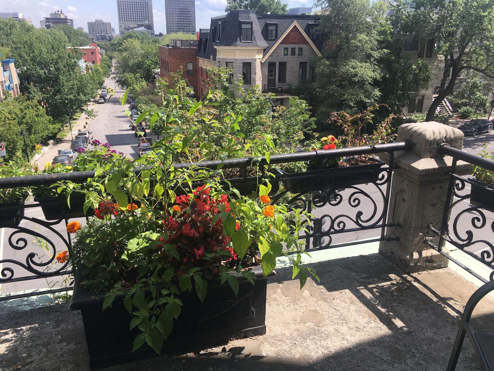 Hotel De Paris Montreal Luaran gambar